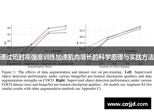 通过短时高强度训练加速肌肉增长的科学原理与实践方法