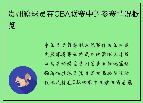 贵州籍球员在CBA联赛中的参赛情况概览